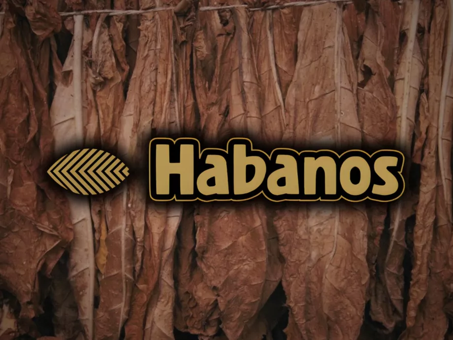 Új kereskedelmi alelnök a Habanosnál