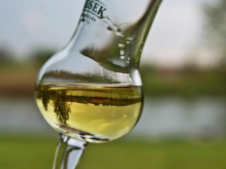 Új termékekre terjeszthetik ki a NETA-t